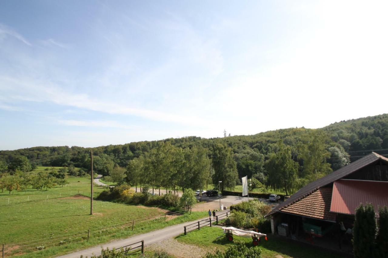 Ferienwohnung Edelbrenner Rimbach  Eksteriør billede